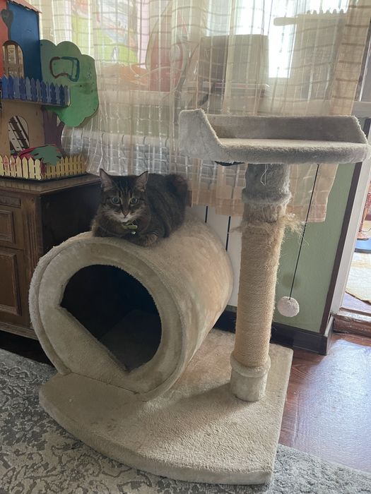Лежанка для кошек