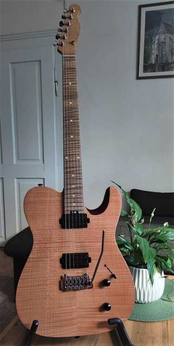 Chitara electrica Harley Benton Pro Series- cu upgrade