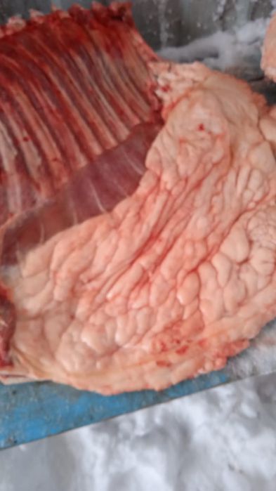 Мясо конины достовка бесплотна