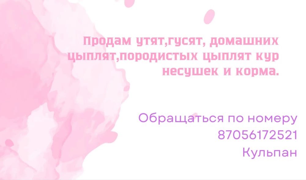 Пух перо птица гуси утки