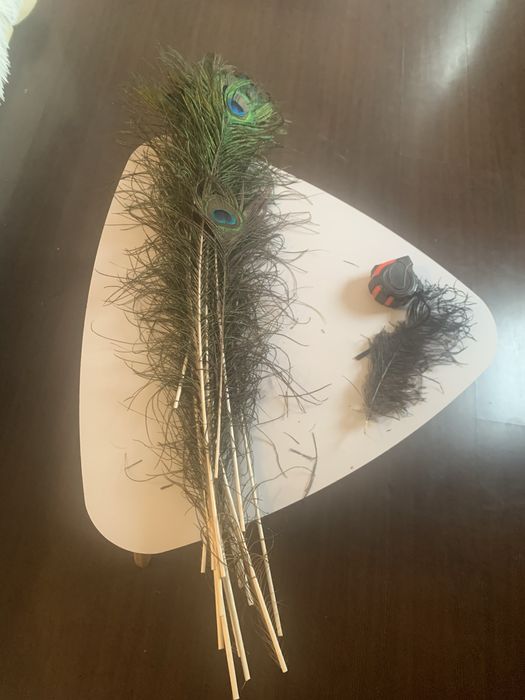 Пера от Паун!! Различна дължина!!