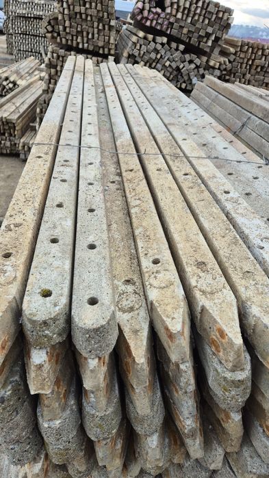 Spalieri stâlpi beton