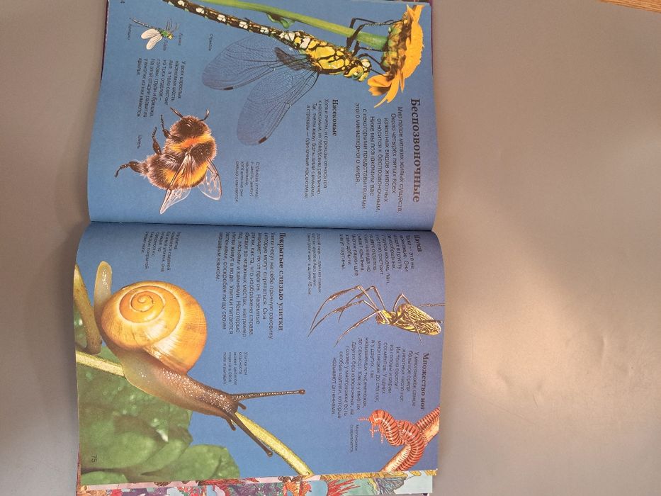 Продам книги для детей