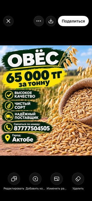 Овёс от 25тонн минимальная партия
