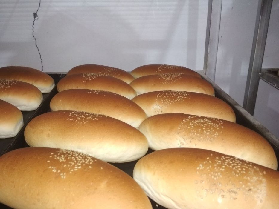 Xoddog gamburger nonlari..
