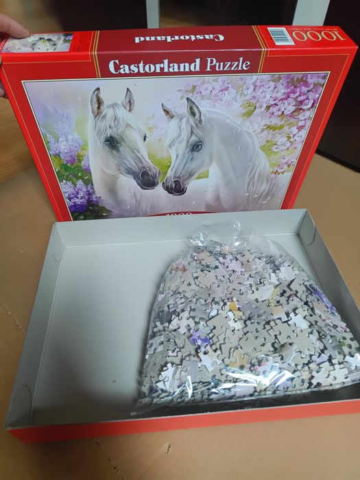 Puzzle 1000 piese