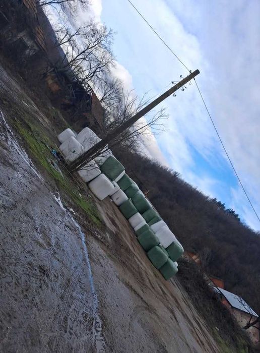 Сенаж от третикале