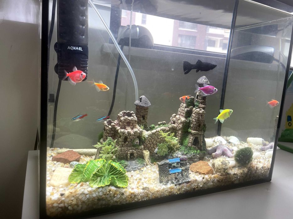 Продавам 40-литров аквариум „Aquael“.