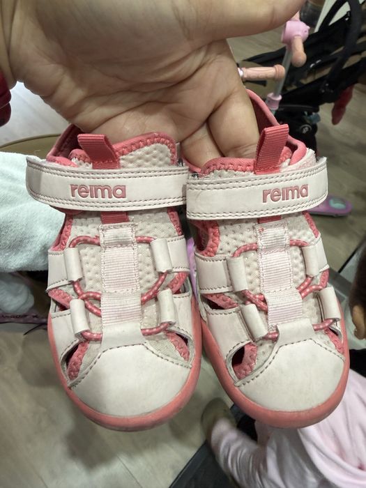 Санделии  reima