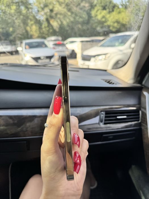 iPhone 13 Pro Max 256gb