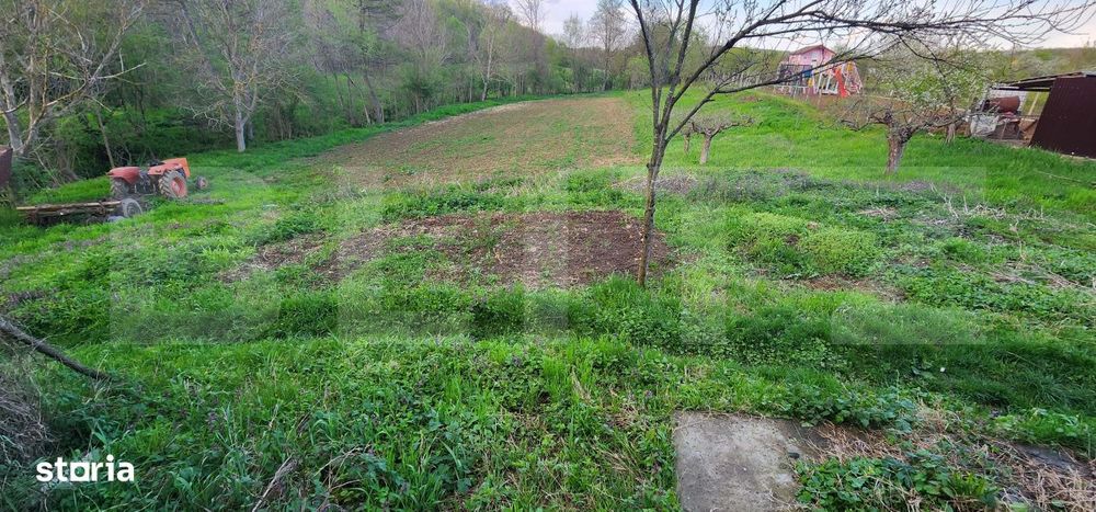 Teren 6650 mp, cu casa nefinalizata de 111 mp, in Nisipoasa.