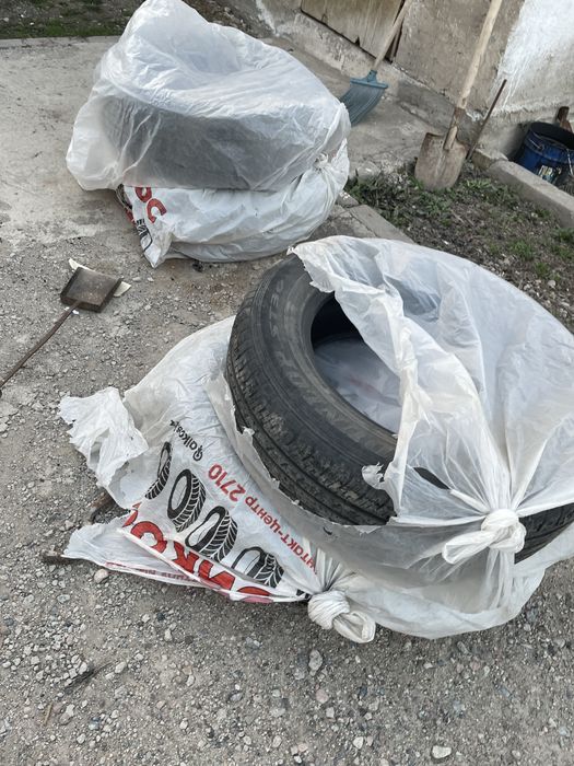 Донгелек шины продам