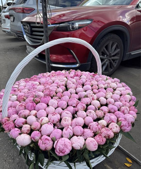 Пионы цветы букеты