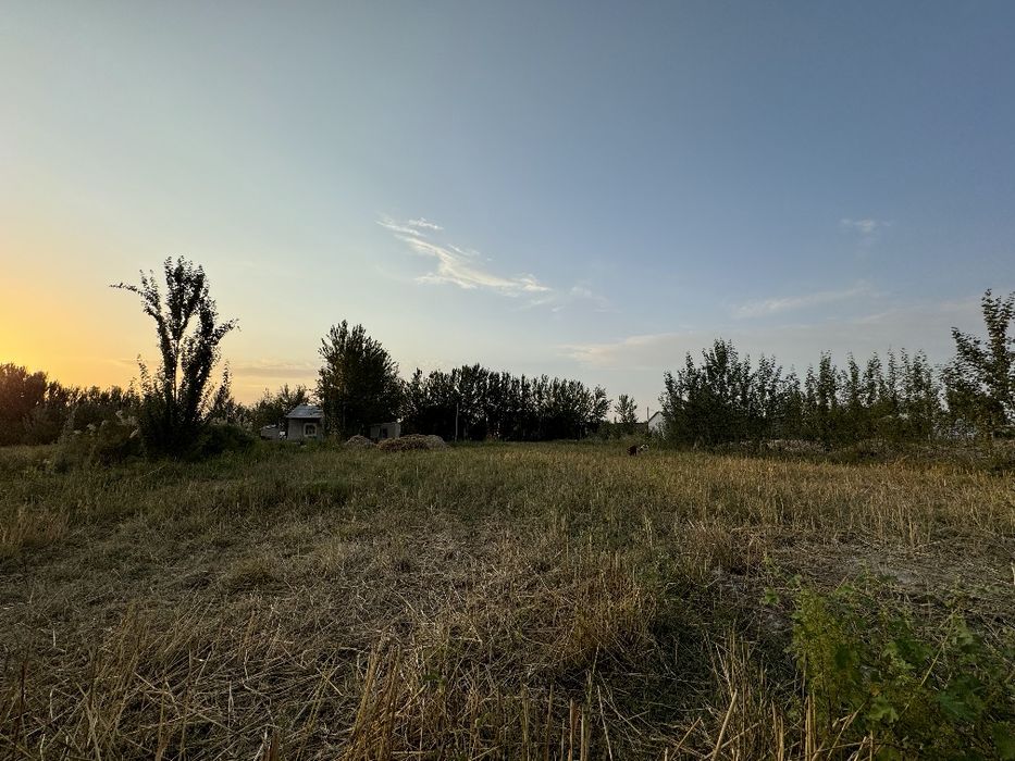 Сирдарьё Сардоба Участок 25 соток