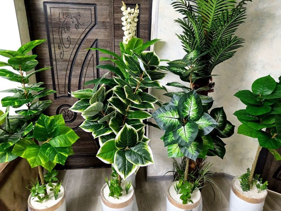 Суний гуллар ва дарахтлар олами сизнинг уйингиз ва офисингиз учун