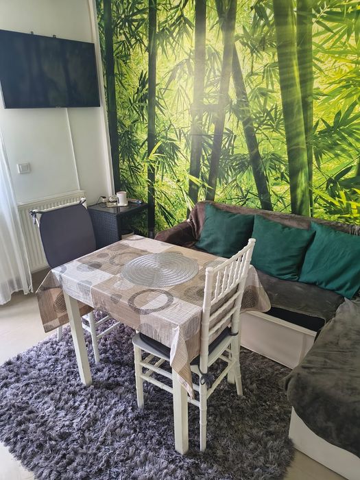 Garsoniera decomandata 300€