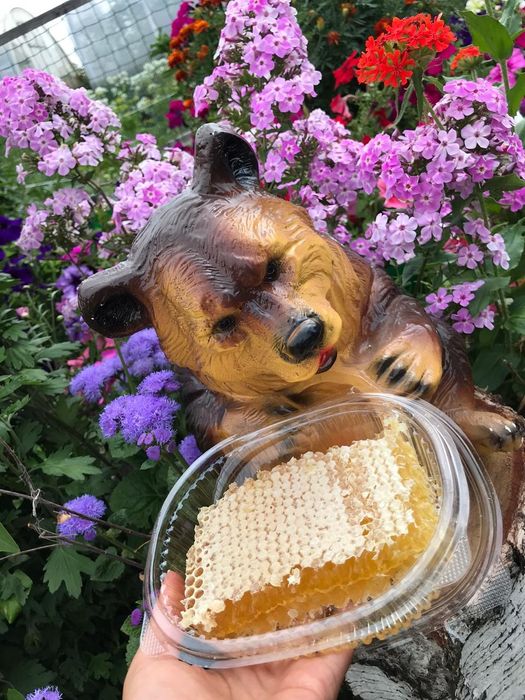 Продам мёд со своей пасеки