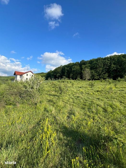 Teren Intravilan 2.000 Mp – Zonă Valea Chiejdului | Posibilitate Pa
