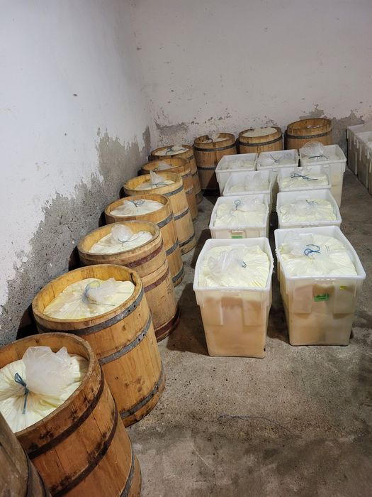 Vând brânză de oaie