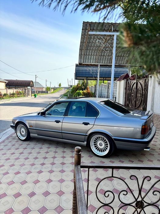 Альпина R18 разна широки.