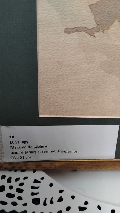Acuarela de D.Szilagy