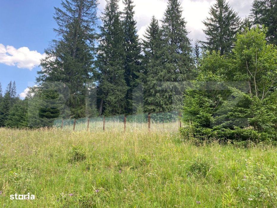 Oportunitate de Investitie: Teren de 10.000 mp la Intrarea in Predeal