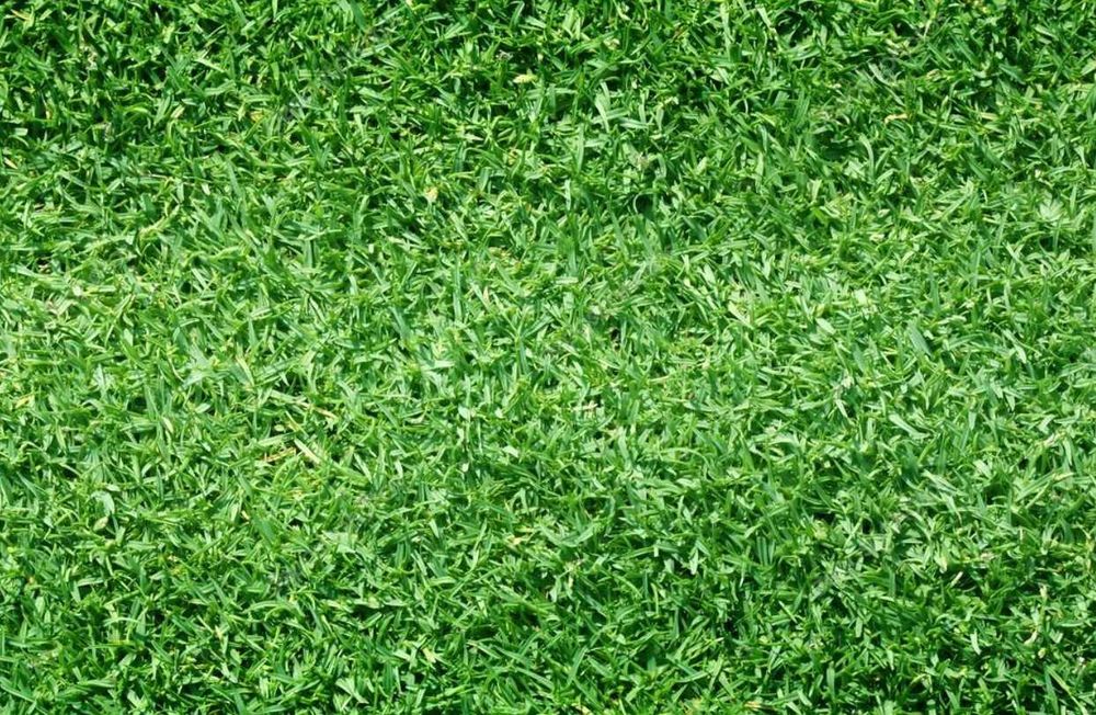 Продаётся искусственный газон | gazon | Со склада! | OP-1