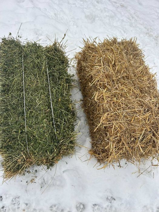 Vand baloti de paie si lucerna