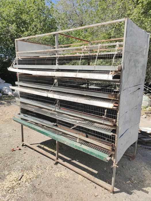 Клетка для кур или перепелок