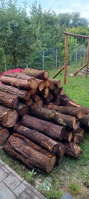 Lemne de foc esență tare