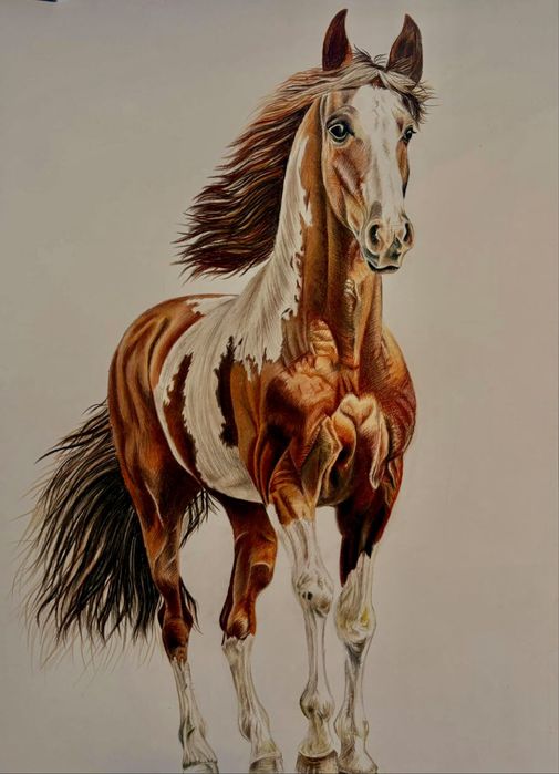 ръчно нарисувани картини