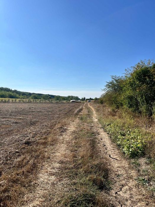 Teren de vanzare - Comuna Podenii Noi