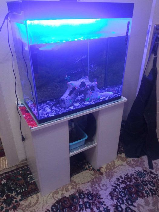 Аквариум со шкафчикои в низу