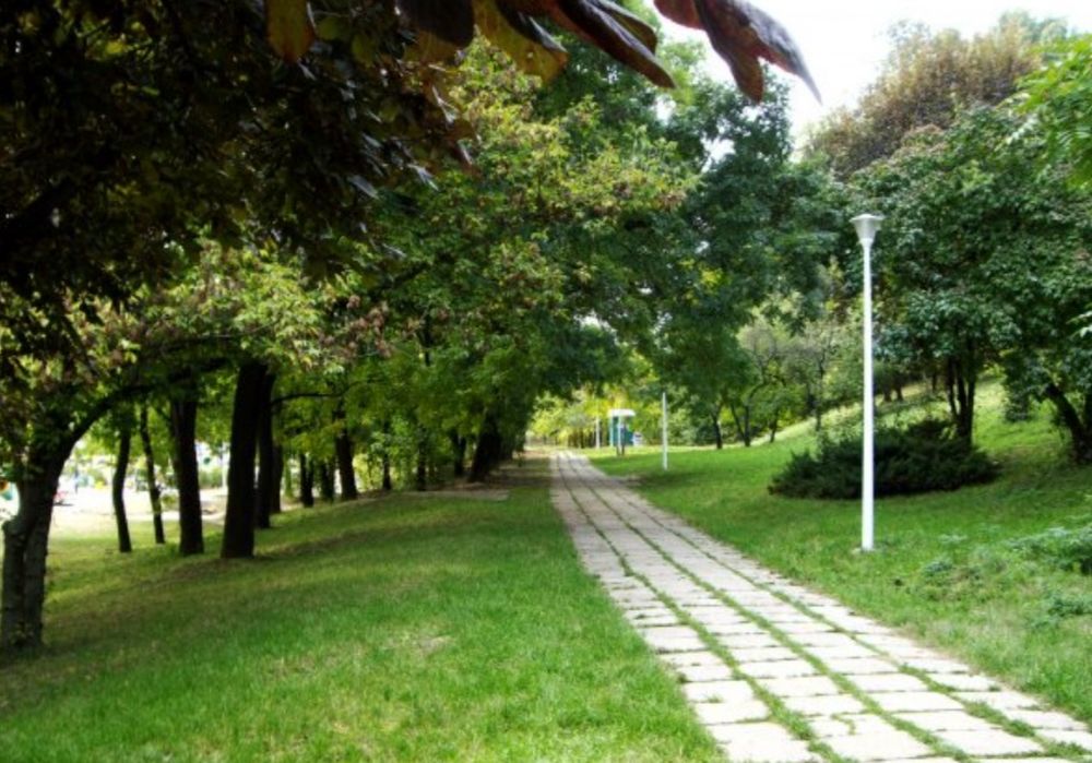 Floreasca Parc Verdi