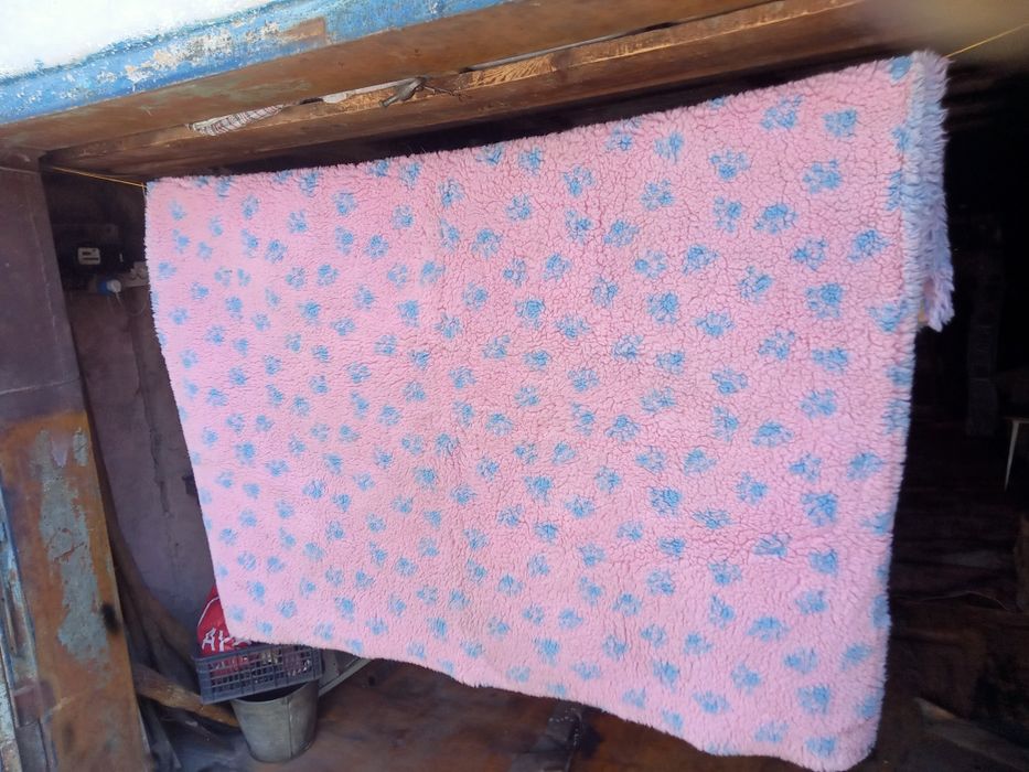 Одеяло для животных