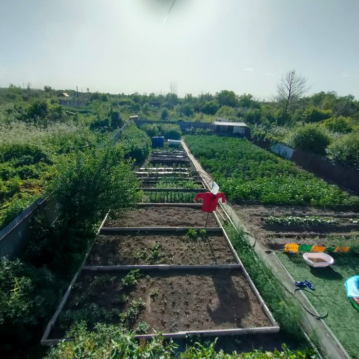 Продам дачу ПК "Алма"