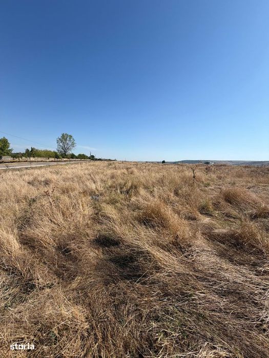 Teren De vanzare In Barlad strada Capitan Grigore Ignat nr 47