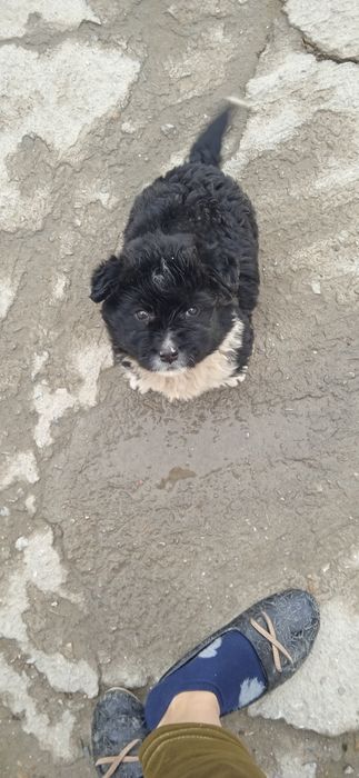 Aqlli qulga urgangan