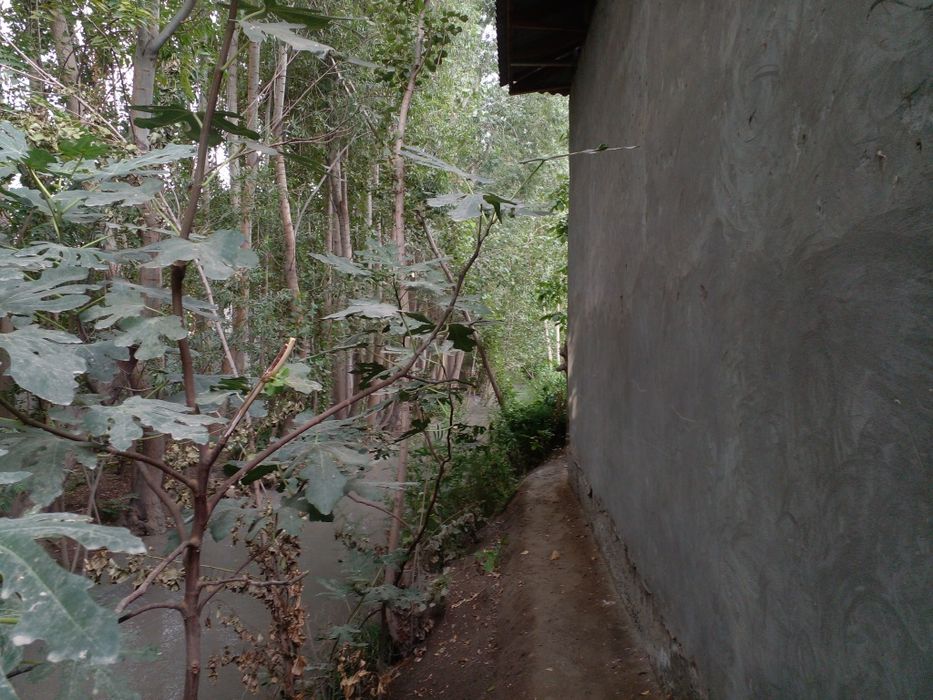 Yer uchastka sotiladi. Ер участка сотилади.