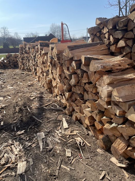 Vindem lemne de foc esențe tarii transportul gratuit