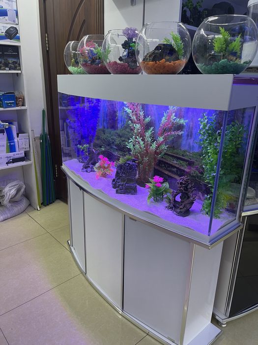 Akvarium 200 litrlik New
