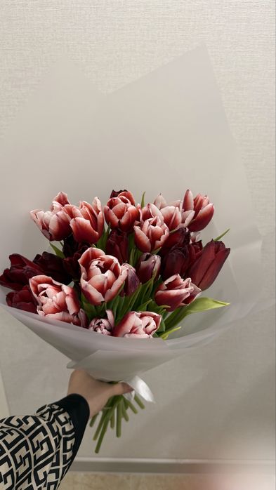 Новые Тюльпаныыы