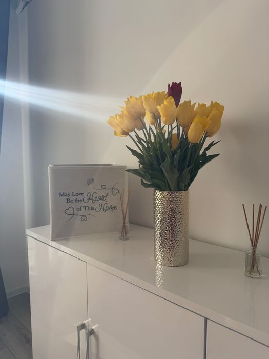 Vând garsoniera,superbă Regie(direct proprietar)