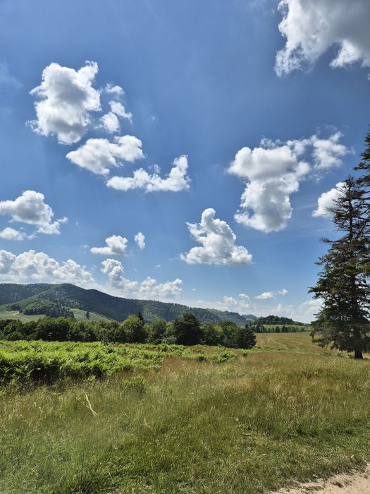 Teren Superb de Vânzare în Holbav, Jud. Brașov - 3546 mp, PUZ în Lucru