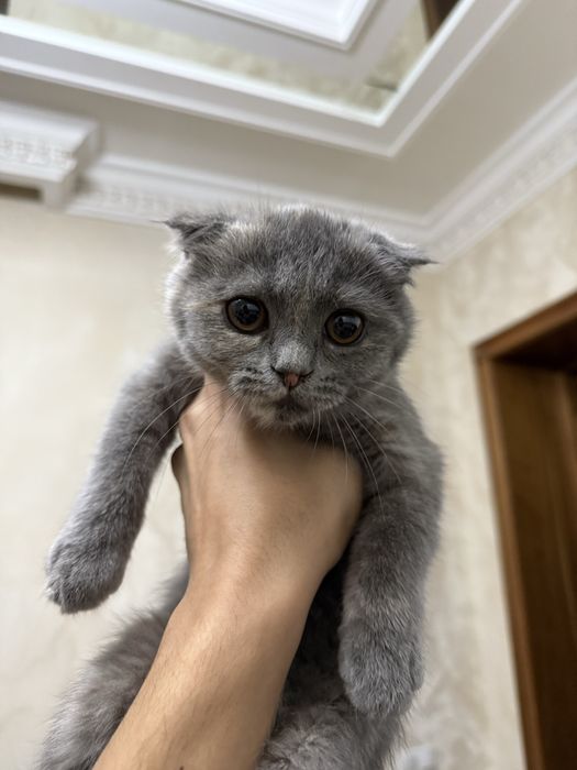 Yosh ayolni yoldan ozdirayotgan keksa lezbiyenning porno videosi