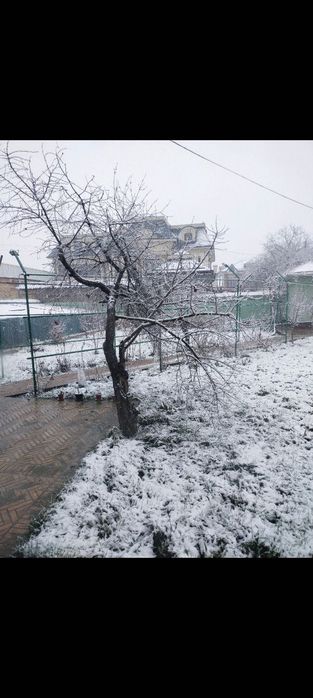 аренда участка в ташкенте