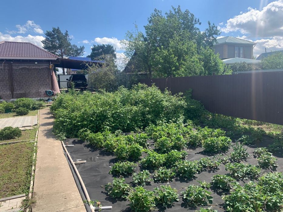 Продам дачу в Акжар 1