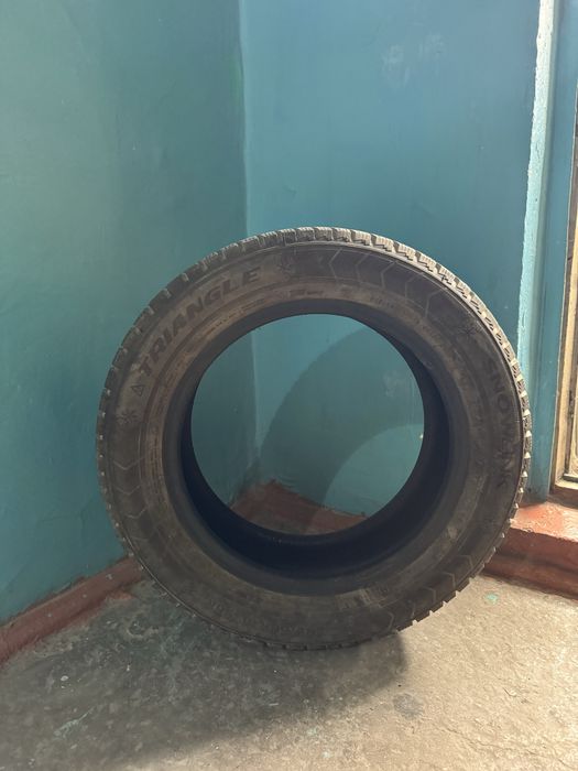 Зимние Шины Triangle