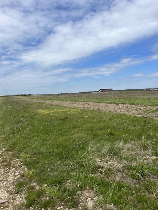 Teren intravilan de vânzare – Cihei, lângă Fundația Mihai Neșu