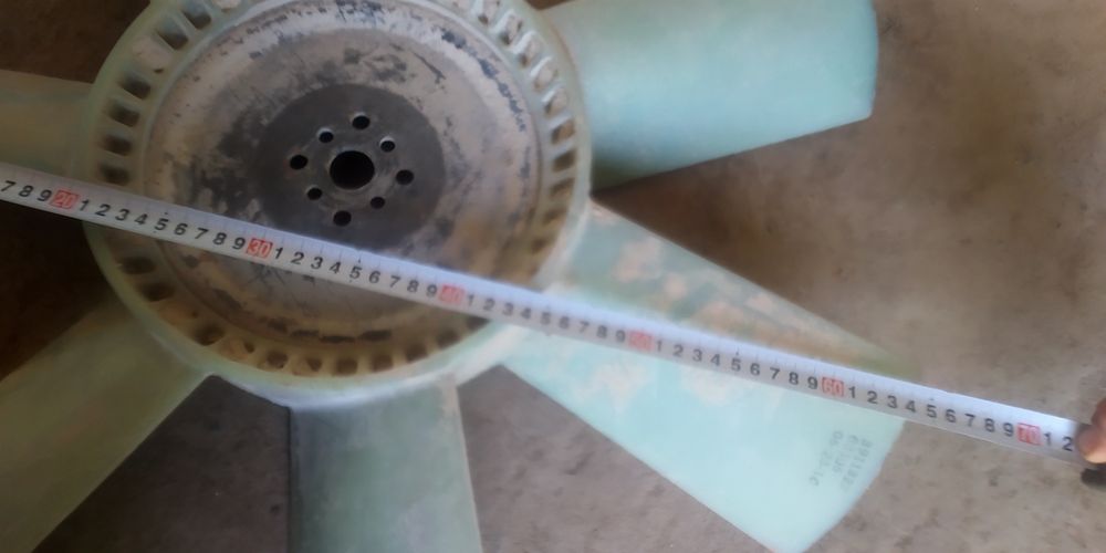 Lopos Lopos parrakLopos parrak